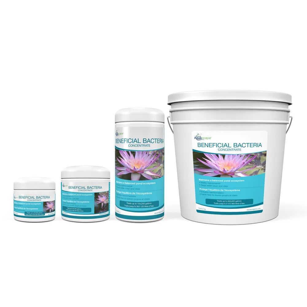 Aquascape Beneficial Bacteria Concentrate dry treatment sizes – Fountain Depot