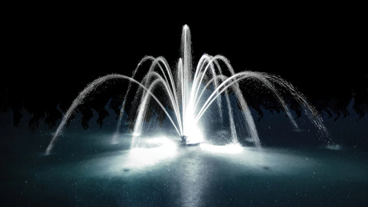 Fontaine flottante Aqua Control Evolution Series - Fleur de Lis