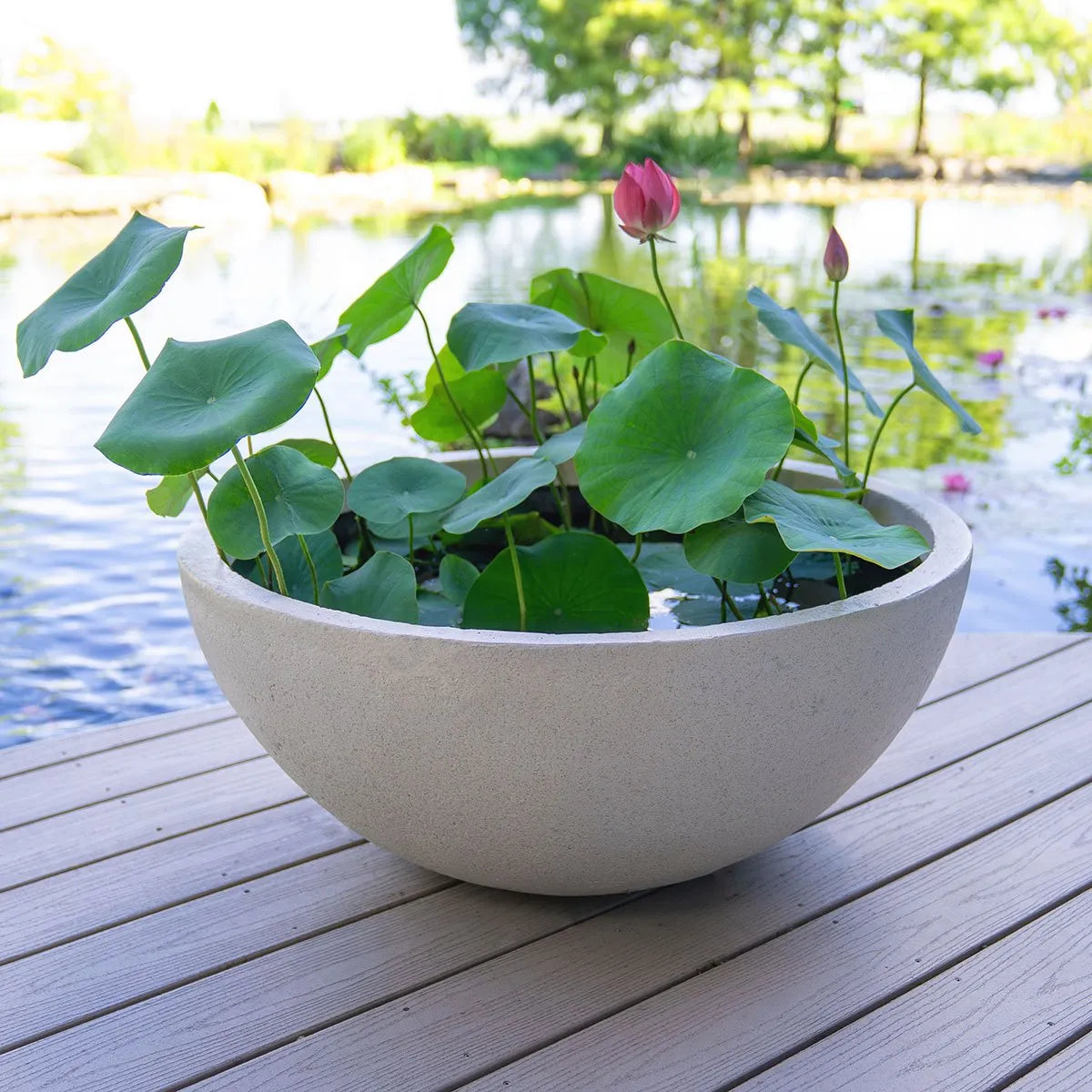 Aquascape Fountain Bowl in Lunar Gray finish