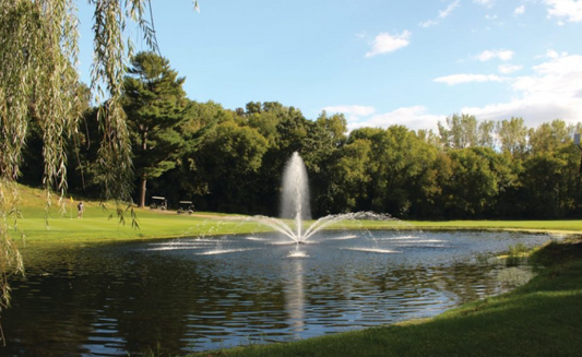 Enhancing Your Fountain with Tropica...