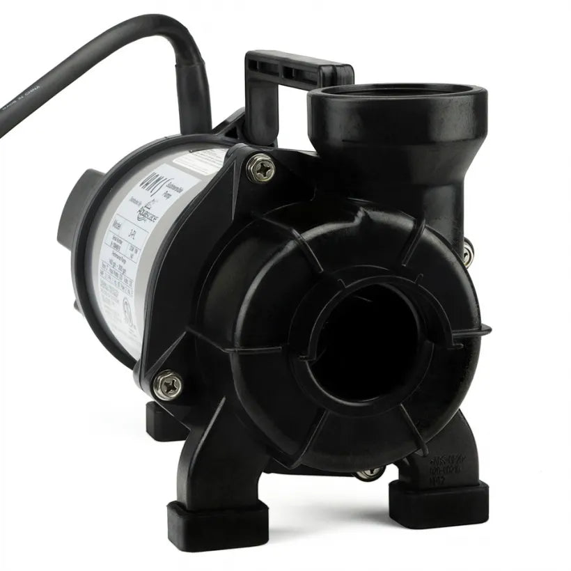 Pompe de bassin pour solides PL et PN