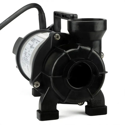 Pompe de bassin pour solides PL et PN