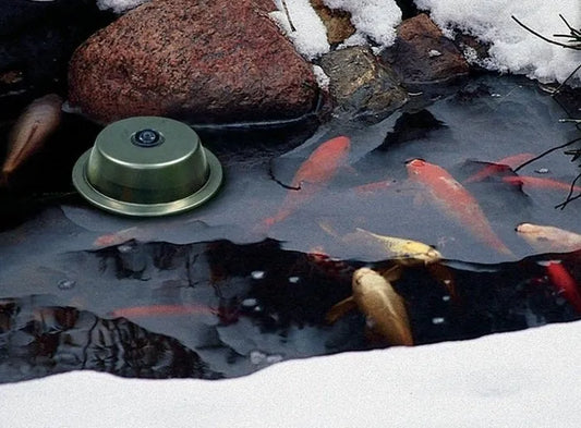 Aquascape 300-Watt Pond De-Icer keeping a hole open in pond ice during winter