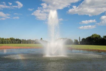 Crown & Wide Geyser
