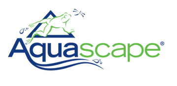 Aquascape