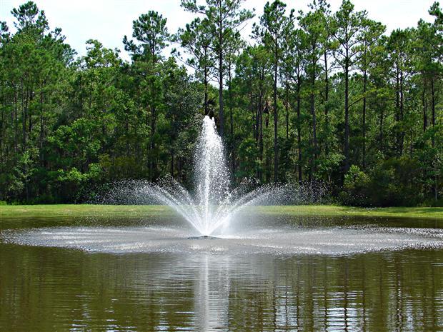 AquaMaster Masters Series 1HP Fountain – Crown and Geyser – No Lights – Fountain Depot