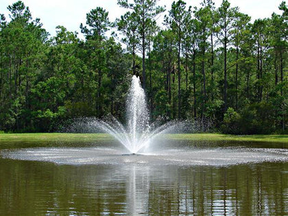 Crown & Geyser