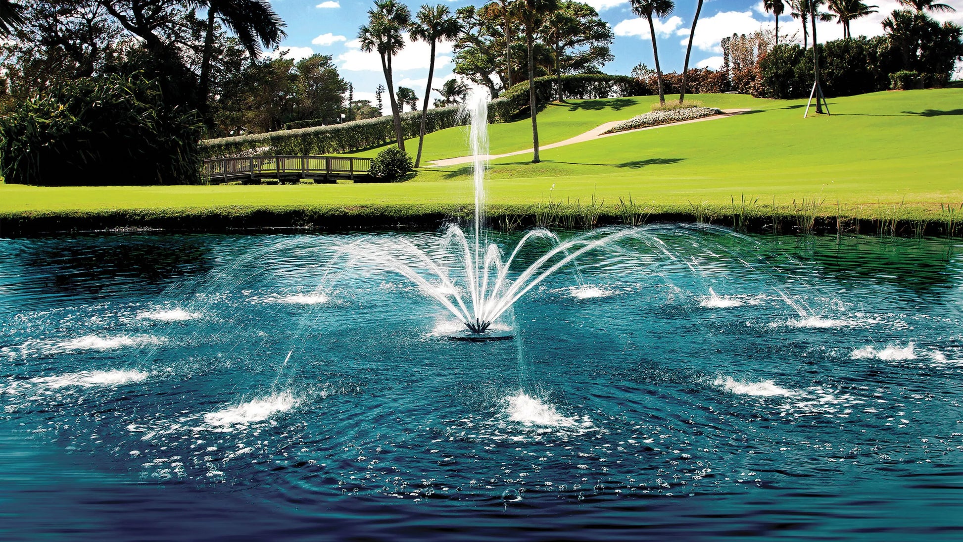 Aqua Control Evolution Series Floating Fountain (1/2 HP, 120V, Single Phase) – No Lights – Fountain Depot