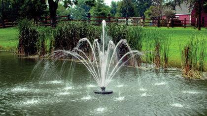 Aqua Control Evolution Series Floating Fountain - Fleur de Lis