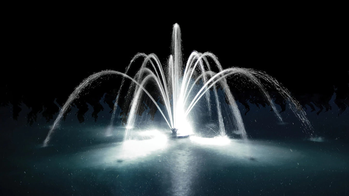 Fontaine flottante Aqua Control Evolution Series - Fleur de Lis