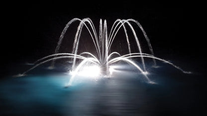 Aqua Control Evolution Series Floating Fountain - Spider & Arch