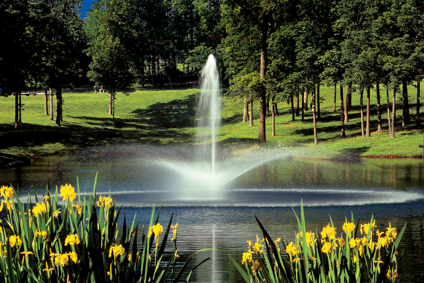 Aqua Control Select Series 2 Aerating Bundle (Single Phase) – Daffodil (Nozzle A) – No Lights – Fountain Depot