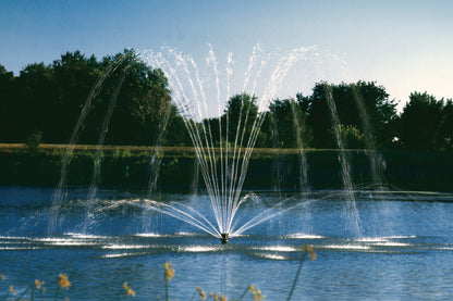Aqua Control Select Series Fountain Bundle (Single Phase) – Spoke & Trellis (Nozzle A) – No Lights – Fountain Depot