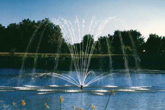 Aqua Control Select Series Fountain Bundle (Single Phase) – Spoke & Trellis (Nozzle A) – No Lights – Fountain Depot